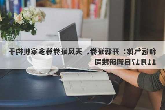 和远气体：开源证券、天风证券等多家机构于11月17日调研我司