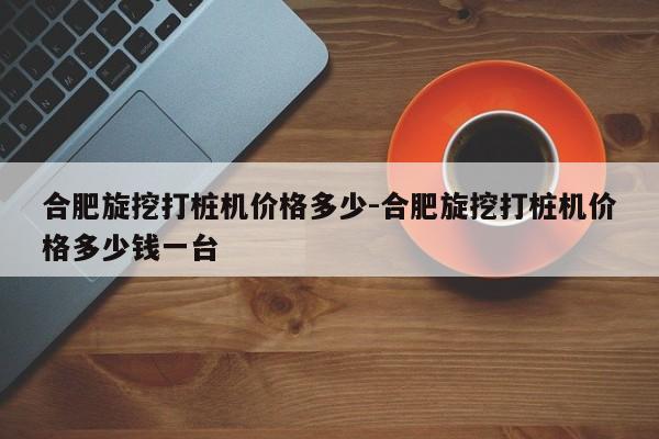 合肥旋挖打桩机价格多少-合肥旋挖打桩机价格多少钱一台