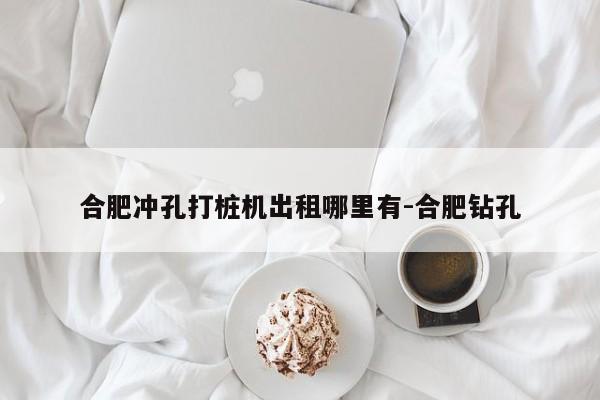 合肥冲孔打桩机出租哪里有-合肥钻孔