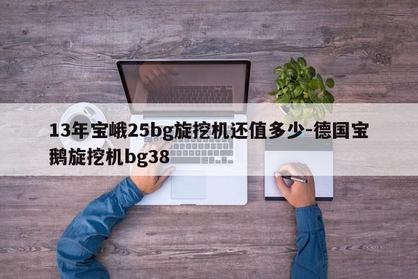 13年宝峨25bg旋挖机还值多少-德国宝鹅旋挖机bg38