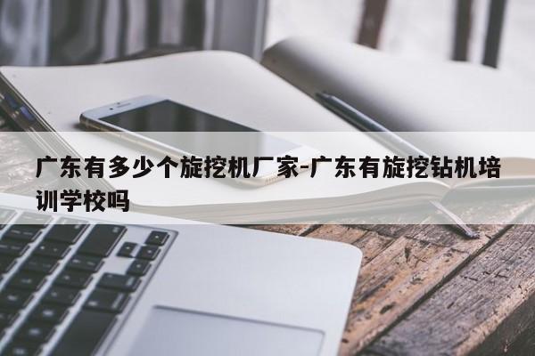 广东有多少个旋挖机厂家-广东有旋挖钻机培训学校吗