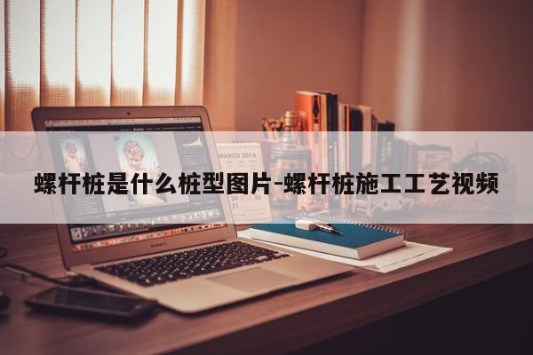 螺杆桩是什么桩型图片-螺杆桩施工工艺视频