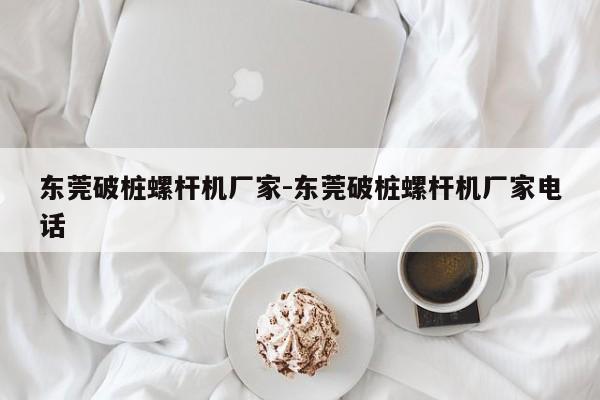 东莞破桩螺杆机厂家-东莞破桩螺杆机厂家电话