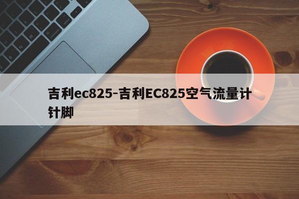 吉利ec825-吉利EC825空气流量计针脚