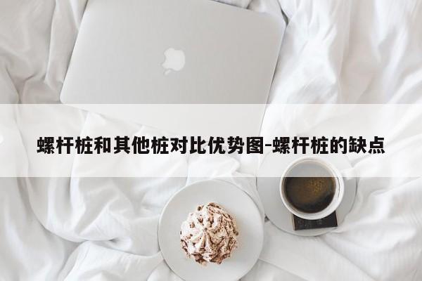 螺杆桩和其他桩对比优势图-螺杆桩的缺点