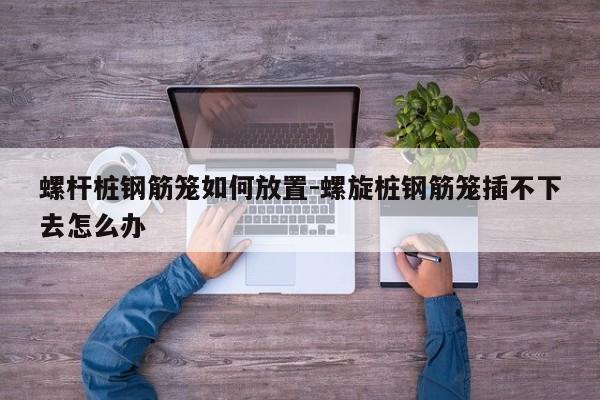 螺杆桩钢筋笼如何放置-螺旋桩钢筋笼插不下去怎么办