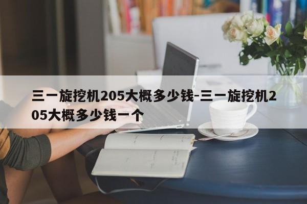 三一旋挖机205大概多少钱-三一旋挖机205大概多少钱一个