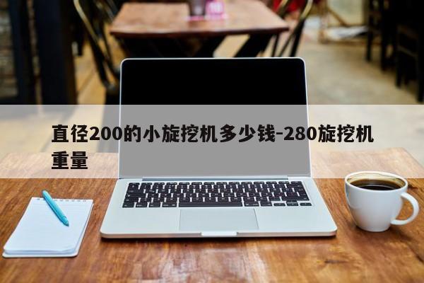 直径200的小旋挖机多少钱-280旋挖机重量