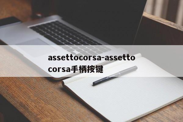 assettocorsa-assettocorsa手柄按键