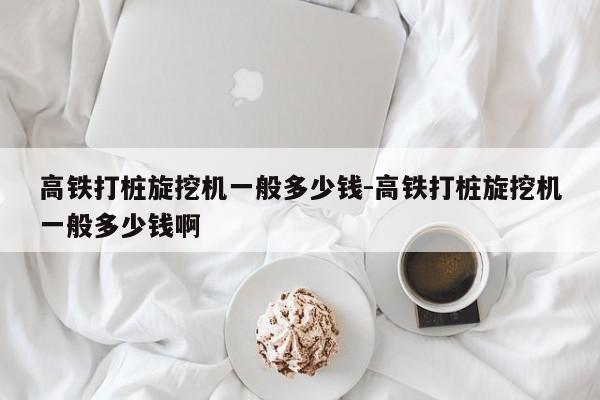 高铁打桩旋挖机一般多少钱-高铁打桩旋挖机一般多少钱啊