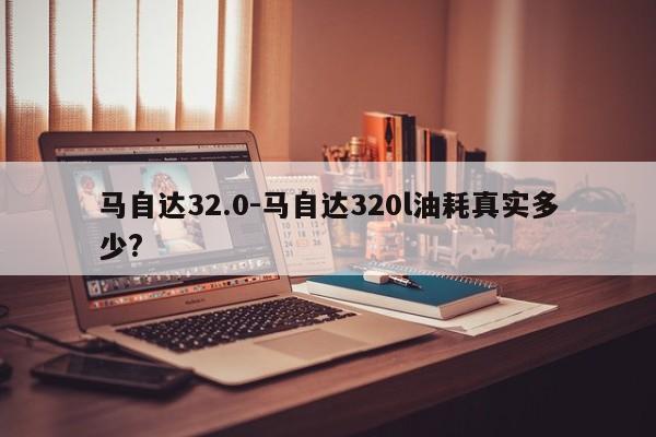 马自达32.0-马自达320l油耗真实多少?