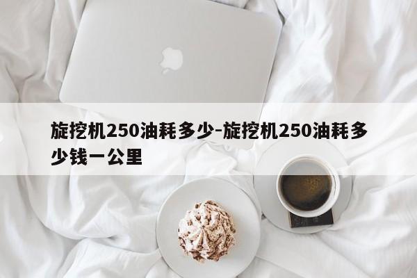 旋挖机250油耗多少-旋挖机250油耗多少钱一公里