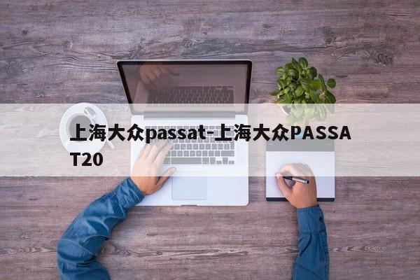 上海大众passat-上海大众PASSAT20