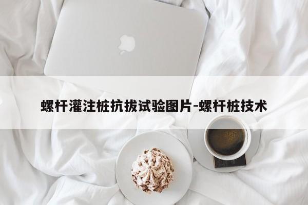 螺杆灌注桩抗拔试验图片-螺杆桩技术