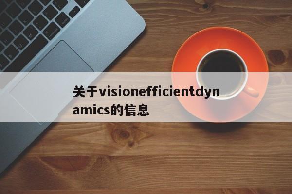 关于visionefficientdynamics的信息