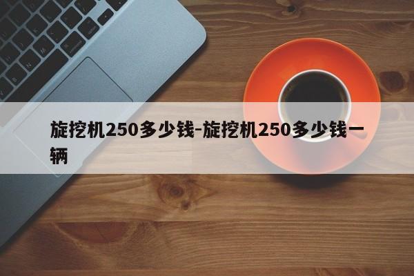 旋挖机250多少钱-旋挖机250多少钱一辆