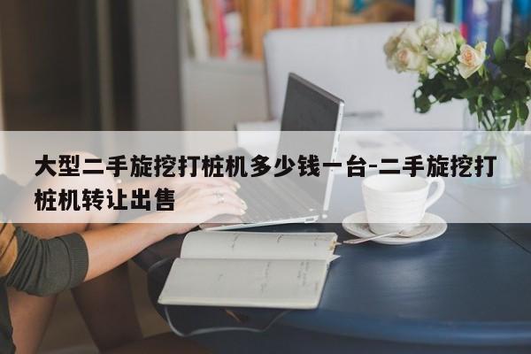 大型二手旋挖打桩机多少钱一台-二手旋挖打桩机转让出售