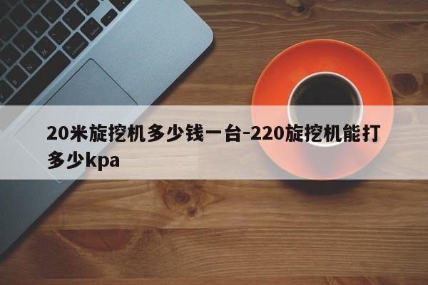 20米旋挖机多少钱一台-220旋挖机能打多少kpa