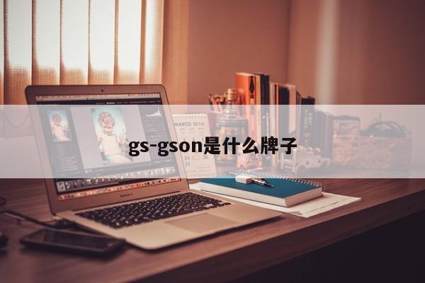 gs-gson是什么牌子