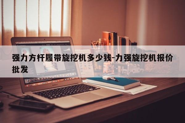 强力方杆履带旋挖机多少钱-力强旋挖机报价批发