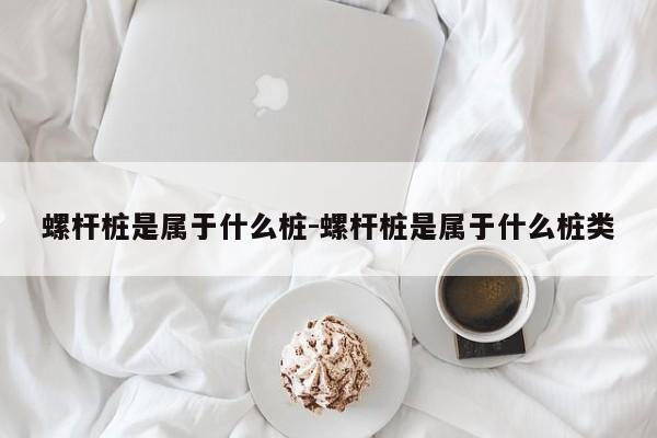 螺杆桩是属于什么桩-螺杆桩是属于什么桩类