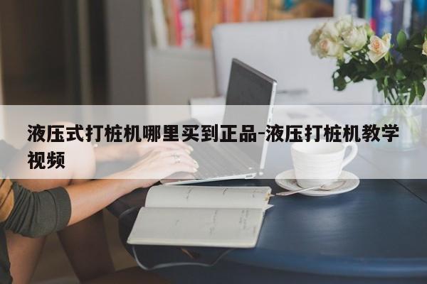 液压式打桩机哪里买到正品-液压打桩机教学视频