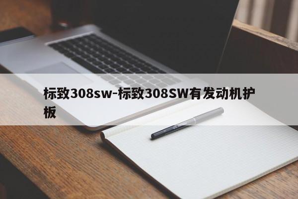 标致308sw-标致308SW有发动机护板