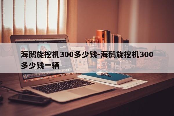 海鹅旋挖机300多少钱-海鹅旋挖机300多少钱一辆