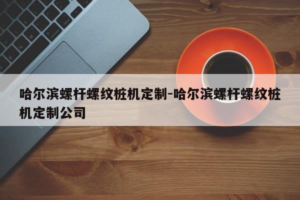 哈尔滨螺杆螺纹桩机定制-哈尔滨螺杆螺纹桩机定制公司