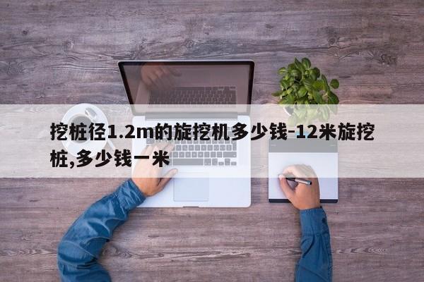 挖桩径1.2m的旋挖机多少钱-12米旋挖桩,多少钱一米