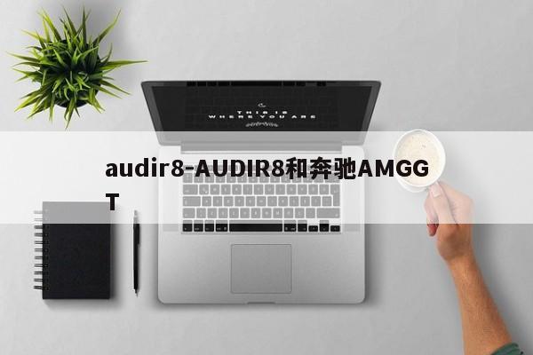 audir8-AUDIR8和奔驰AMGGT