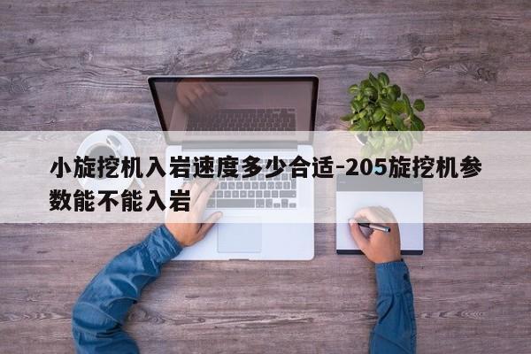 小旋挖机入岩速度多少合适-205旋挖机参数能不能入岩