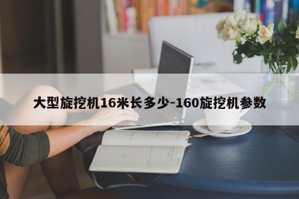 大型旋挖机16米长多少-160旋挖机参数