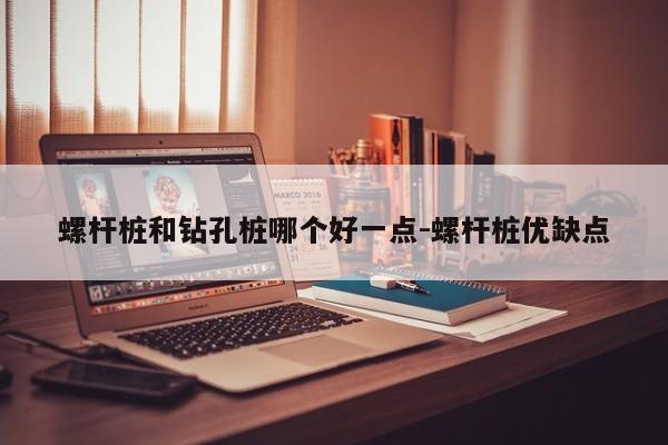 螺杆桩和钻孔桩哪个好一点-螺杆桩优缺点