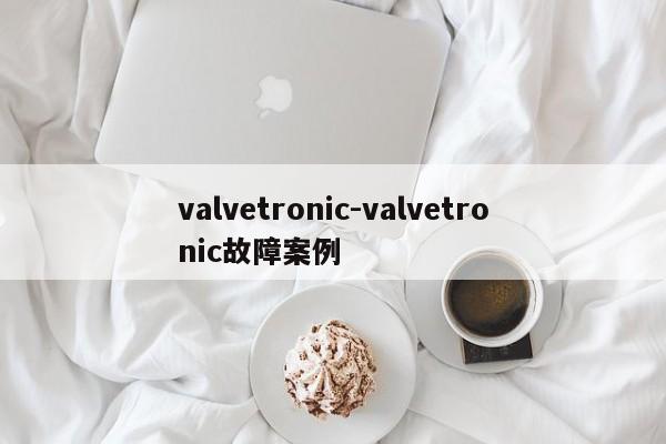 valvetronic-valvetronic故障案例