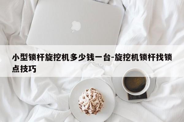 小型锁杆旋挖机多少钱一台-旋挖机锁杆找锁点技巧