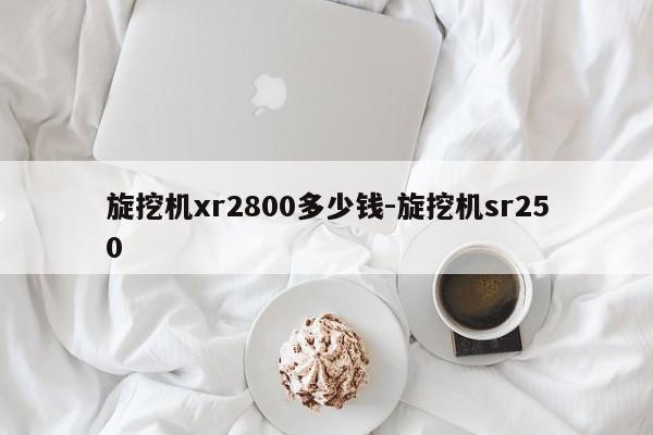 旋挖机xr2800多少钱-旋挖机sr250