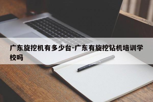 广东旋挖机有多少台-广东有旋挖钻机培训学校吗