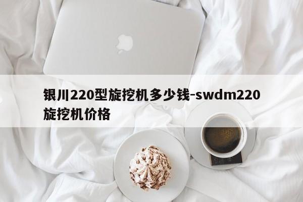 银川220型旋挖机多少钱-swdm220旋挖机价格