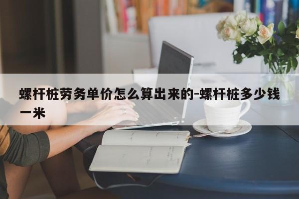 螺杆桩劳务单价怎么算出来的-螺杆桩多少钱一米