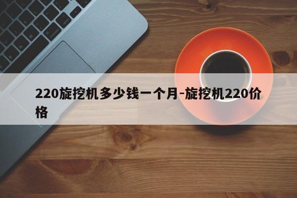 220旋挖机多少钱一个月-旋挖机220价格