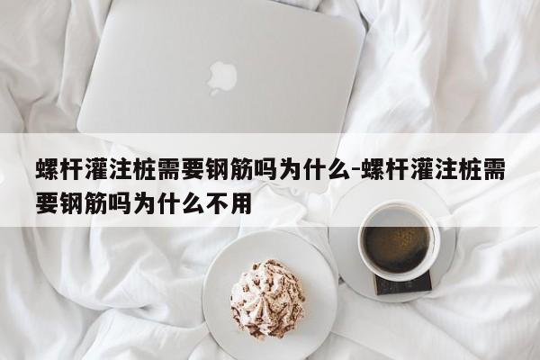 螺杆灌注桩需要钢筋吗为什么-螺杆灌注桩需要钢筋吗为什么不用