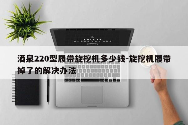 酒泉220型履带旋挖机多少钱-旋挖机履带掉了的解决办法