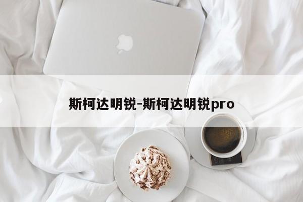 斯柯达明锐-斯柯达明锐pro