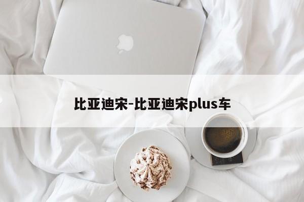 比亚迪宋-比亚迪宋plus车