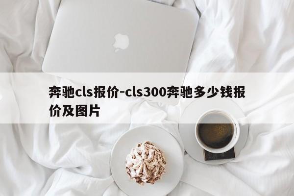 奔驰cls报价-cls300奔驰多少钱报价及图片