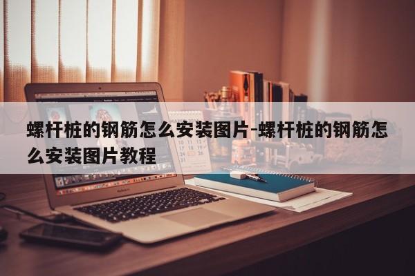 螺杆桩的钢筋怎么安装图片-螺杆桩的钢筋怎么安装图片教程