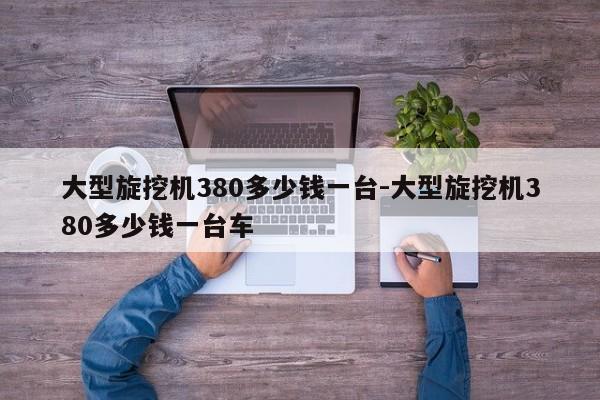 大型旋挖机380多少钱一台-大型旋挖机380多少钱一台车