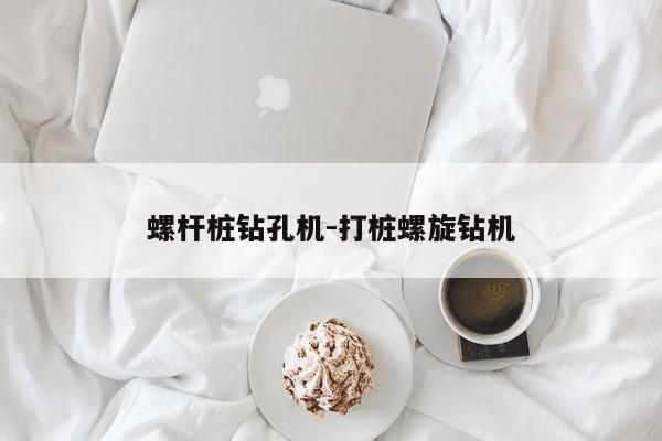 螺杆桩钻孔机-打桩螺旋钻机