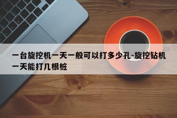 一台旋挖机一天一般可以打多少孔-旋挖钻机一天能打几根桩